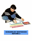 Nature 2 Scrambled Sentences Manipulatives