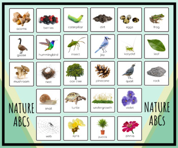 Preview of Nature Alphabet Poster