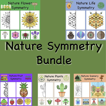 Preview of Nature Bundle Lines of Symmetry Drawing Activity - Fun Math Art Activity