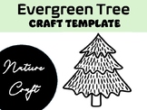 Nature Craft | Evergreen Tree | Evergreen Tree Craft Templ