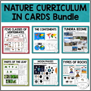 Preview of Nature Curriculum in Cards Bundle