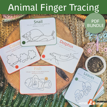 Preview of Nature Finger Tracing Cards and Posters | Nature Calm Activity | Calm Activity
