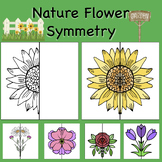 Nature Flowers Lines of Symmetry Drawing Activity - Fun En