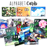Nature-Inspired Alphabet Reference Cards (for wall display