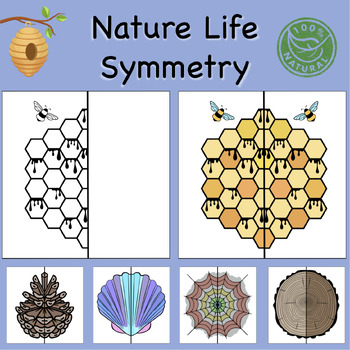 Preview of Nature Life Lines of Symmetry Drawing Activity - Fun End of Year Math Art