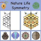Nature Life Lines of Symmetry Drawing Activity - Fun End o
