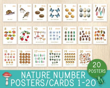 Preview of Nature Number Poster or Counting Cards, 1-20, Number Flashcards, Learn to Count