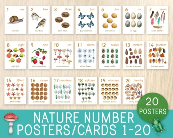 Nature & Elements - Poster, Flashcards, Bingo & Worksheet by Chris M