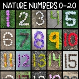Nature Numbers 0-20