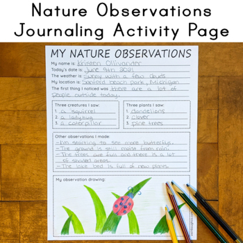 My Nature Journal: One Year of Observation