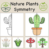Nature Plants Lines of Symmetry Drawing Activity - Fun End