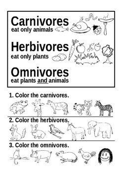 Nature. Plants and animals. Worsheets for coloring and drawing by K for ...