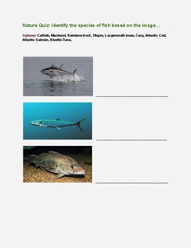 Preview of Nature Quiz: Identify the species of fish based on the image