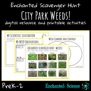 Preview of Nature Scavenger Hunt-At Home Learning-Science & Literacy: City Park Weeds