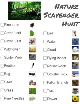 Preview of Nature Scavenger Hunts