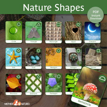Preview of Nature Shapes Poster and Cards | Nature Shapes Preschool | Nature Shapes