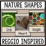 Nature Shapes / Reggio / 3 Part Matching