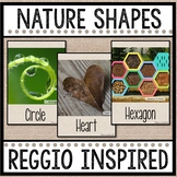 Nature Shapes / Reggio / 3 Part Matching