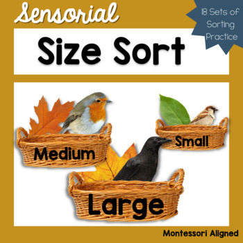 Preview of Nature Size Sorting