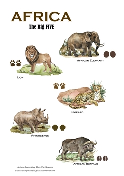 Preview of Nature Study: Africa's Big Five