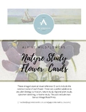 Nature Study Cards-Alpine Wildflowers