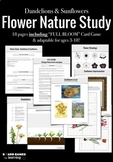 Nature Study - Sunflowers and Dandelions