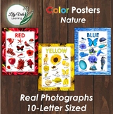 Nature Themed COLOR POSTERS by LilyVale Learning