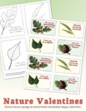 Nature Valentine Cards