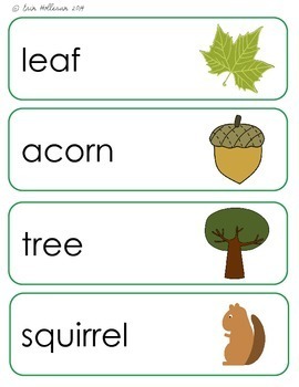 klik paritet Modsatte Nature Vocabulary Cards and Spelling Practice by Erin Holleran | TpT