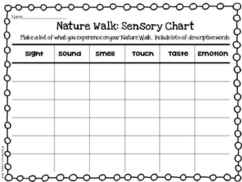 Sensory Walk Activity Packages for Schools & More