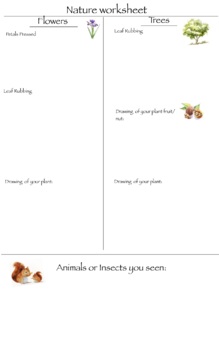 Preview of Nature Worksheet