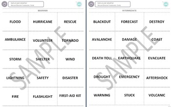 Preview of Nature and Weather (C): Natural Disasters Vocabulary Cards (Adult ESL)