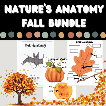 Preview of Nature's Anatomy FALL Bundle-Pumpkin, Leaf, Turkey, Bat, etc Labeling Activities