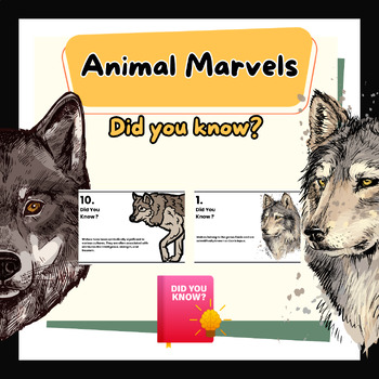 Preview of Nature's Marvels Wolves Mysteries of the Wilderness