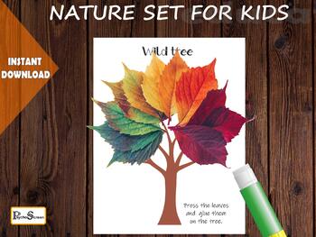 Preview of Plants study,  Press & Glue,  Nature set Worksheets for trees, leaves, flowers