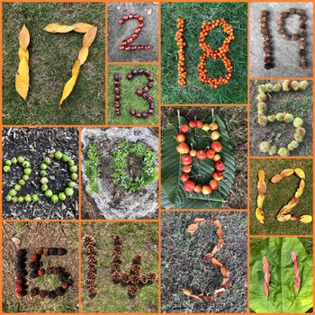 nature themed autumn numbers 1 20 by early years outdoor tpt