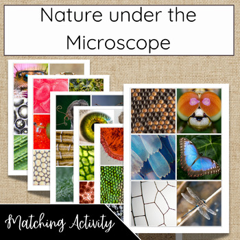 Preview of Nature under the Microscope