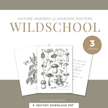 Preview of Natureed classroom vintage posters - REGGIO INSPIRED x3
