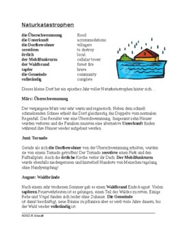 Preview of Naturkatastrophen Text / Natural Disasters German Reading with Passive Voice
