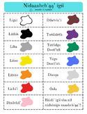 13 Navajo Colors