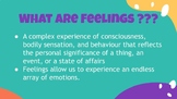 Navigating Feelings & Emotions Presentation
