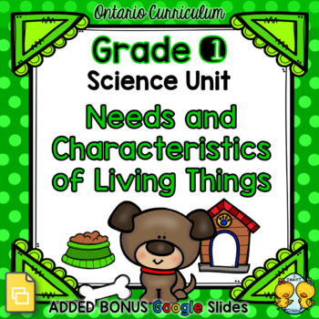 Preview of Needs and Characteristics of Living Things – Grade 1 Science Unit