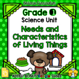 Needs and Characteristics of Living Things – Grade 1 Science Unit