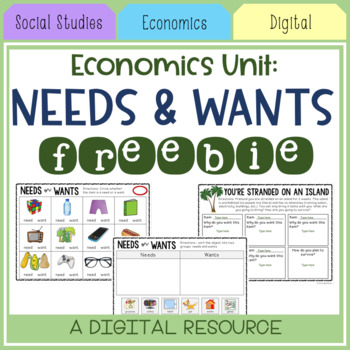 Preview of Needs and Wants Digital Worksheets