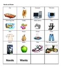 Needs and Wants Picture Sort