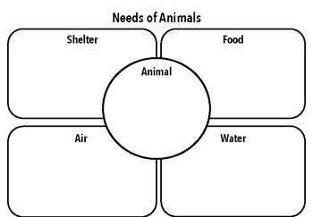 Needs of Animals by Miss A's Science Lab | TPT