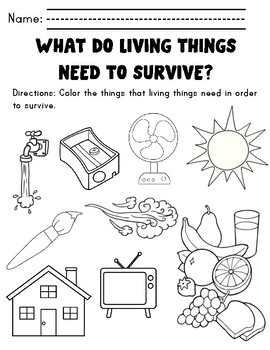Preview of Needs of Living Things - Worksheet
