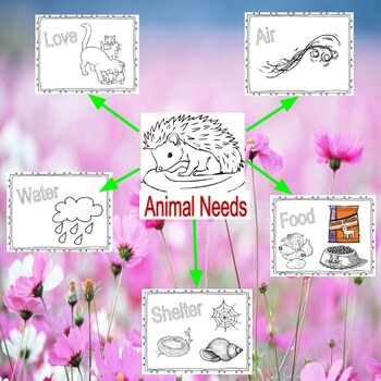 Needs of Plants and Animals & Interdependence - 5 Activities by Maria  Gaviria