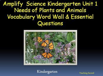Preview of Needs of Plants and Animals Amplify Kindergarten