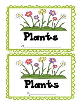 Preview of Needs of a Plant Mini Book